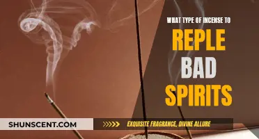 Incense Scents to Ward Off Negative Spirits and Energies