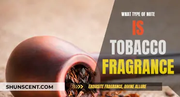 Tobacco Notes: Exploring the Fragrance's Rich, Warm Character
