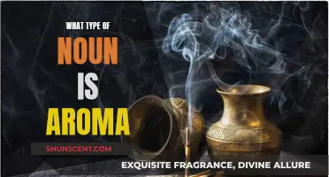 The Aroma Noun: Exploring the Intricacies of Abstract Nouns