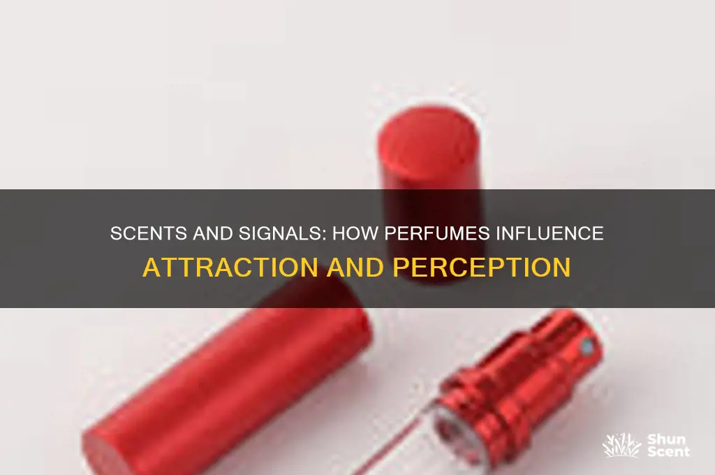 what type of perfume attracts what