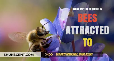 Bees and Scents: Unveiling the Perfumes That Attract These Pollinators