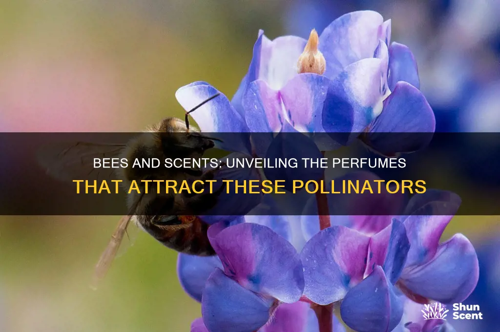 what type of perfume is bees attracted to