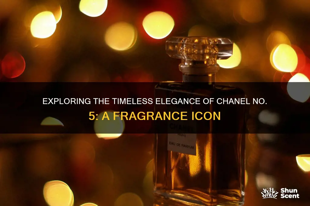 what type of perfume is chanel no 5