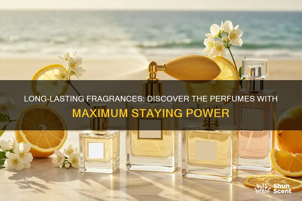 what type of perfume last the longest