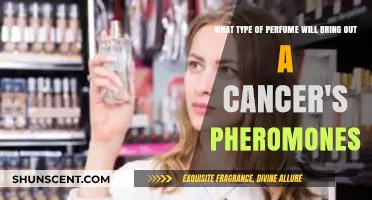 Enhance Cancer's Allure: Perfumes to Amplify Their Natural Pheromones