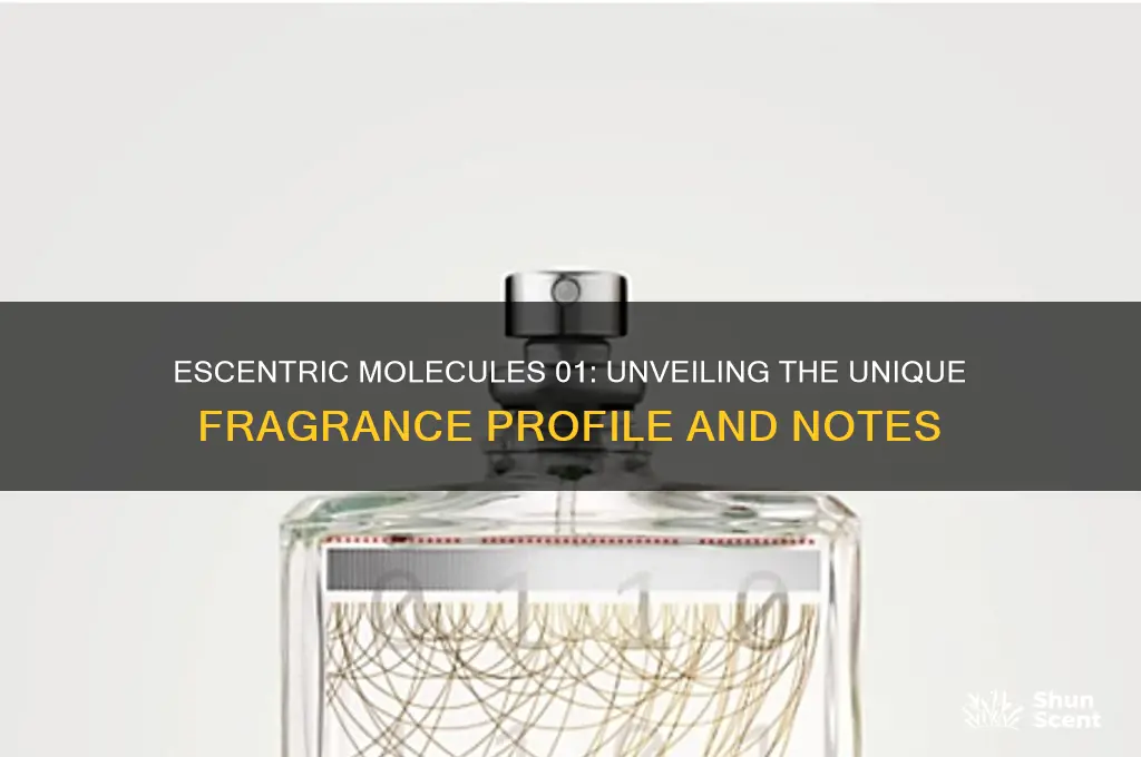 what type of perfumes do escentric molecules 01