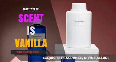 Exploring Vanilla's Alluring Aroma: A Sweet, Warm, and Comforting Scent