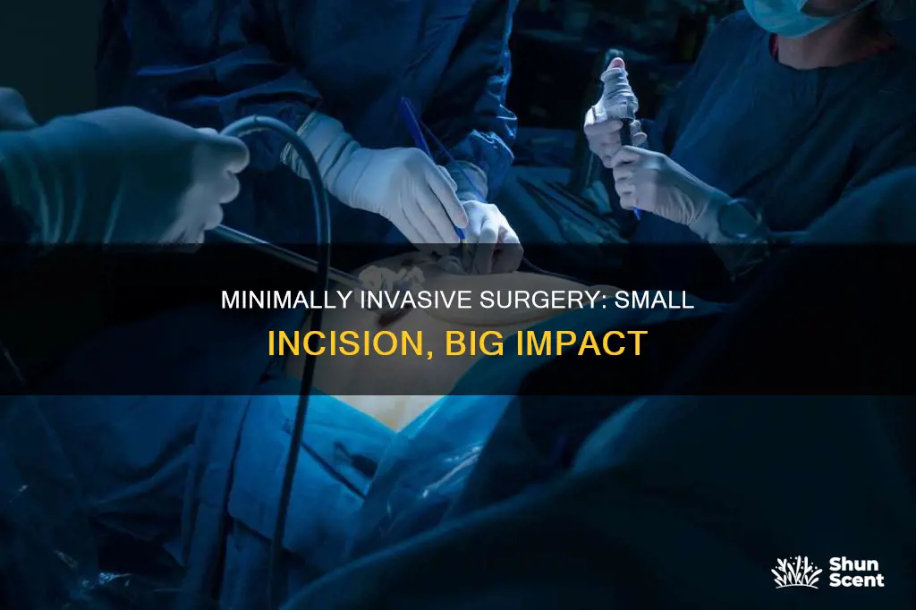 what type of surgery has a very small incension