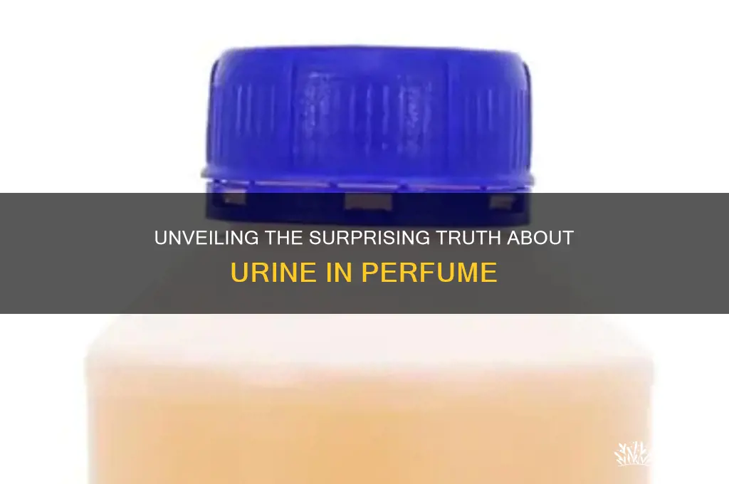 what type of urine is in perfume