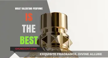 Discover the Best Valentino Perfume: A Scent Lover's Guide