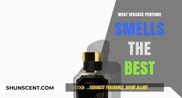 Versace Scents: Which Fragrance Reigns Supreme?