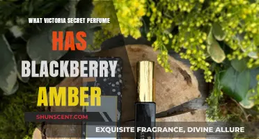 Discover Victoria's Secret Blackberry Amber Perfume: A Sensual Scent Guide