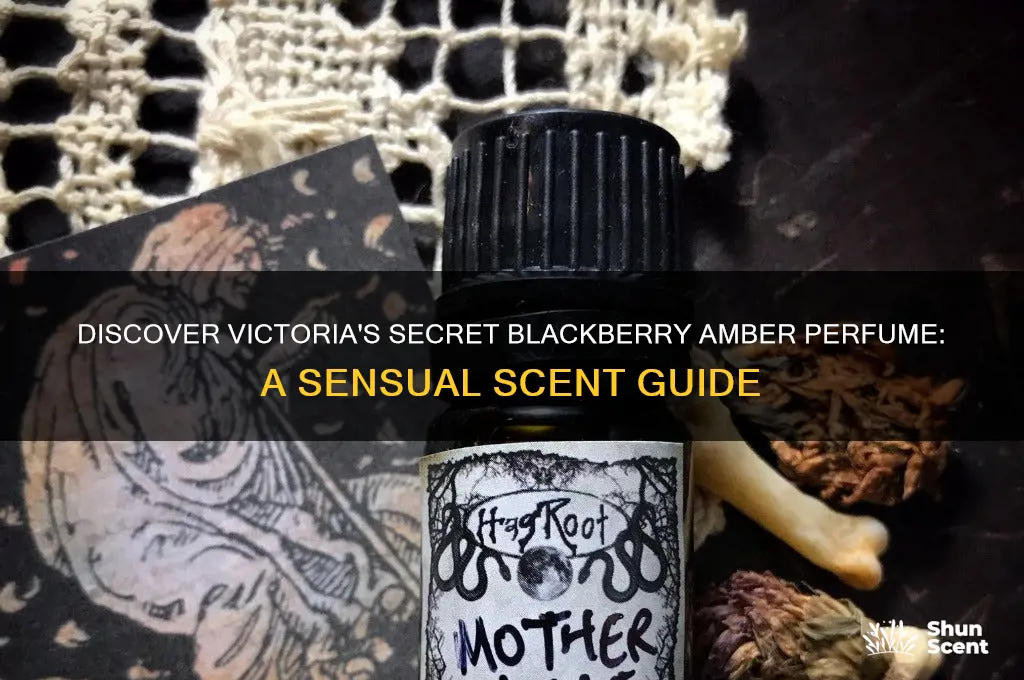 what victoria secret perfume has blackberry amber
