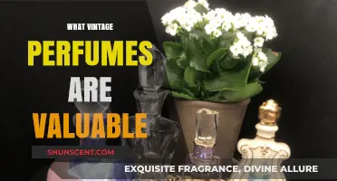 Discover the Most Valuable Vintage Perfumes Worth Collecting Today