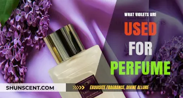 Violets in Perfumery: Unveiling Their Aromatic Uses and Allure