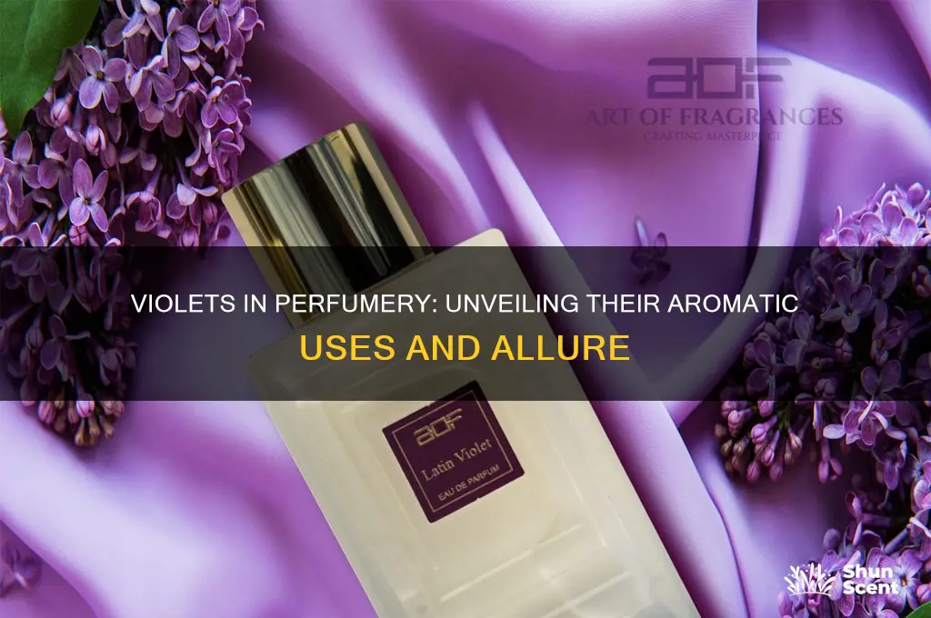 what violets are used for perfume