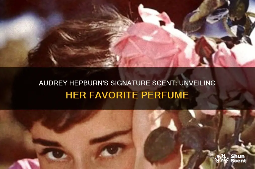 what was audrey hepburn