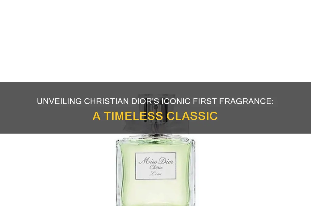 what was christian dior
