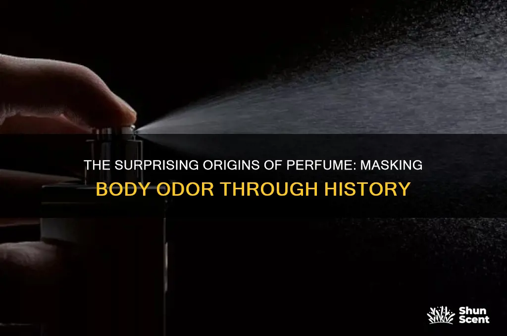 what was perfume invented for to cover body odor