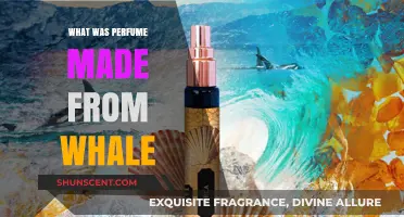 Whale-Derived Perfume: The Surprising History of Ambergris Fragrance