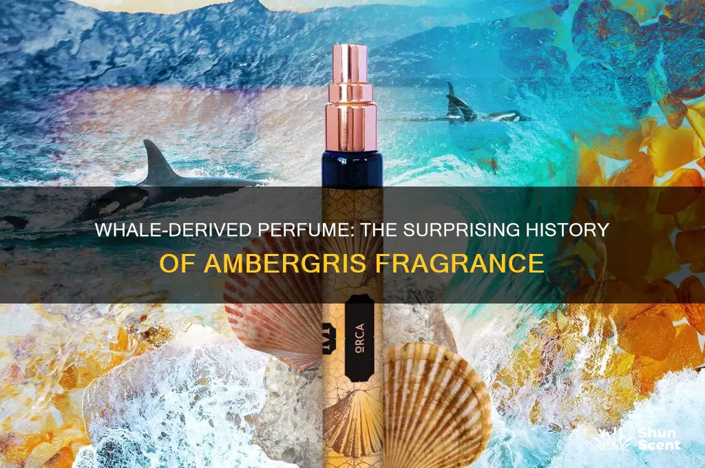 what was perfume made from whale
