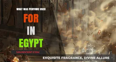 Ancient Egyptian Perfumes: Rituals, Royalty, and Daily Life Uses