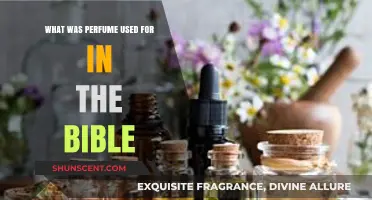 Biblical Scents: Exploring Perfume's Sacred Roles in Ancient Scripture