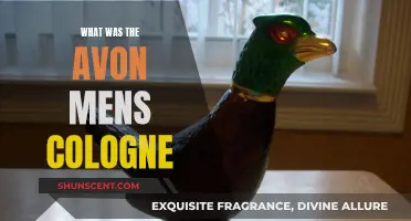 The Evolution of Avon's Men's Cologne Fragrances