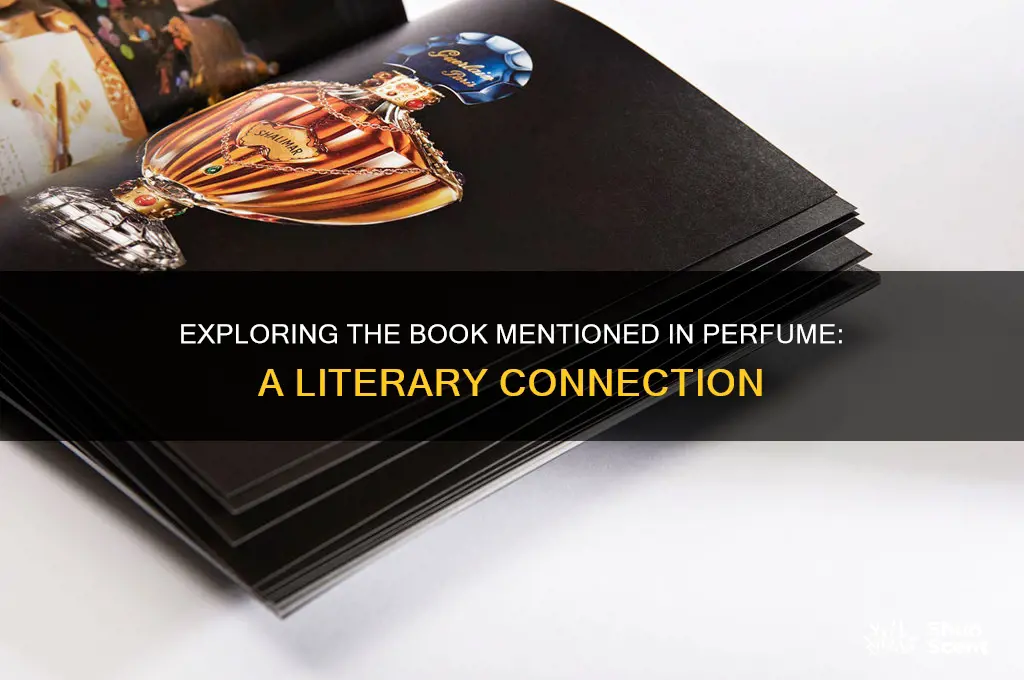 what was the book talked about in perfume