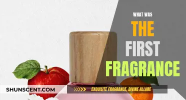 The First Fragrance: A Whiff of Ancient History