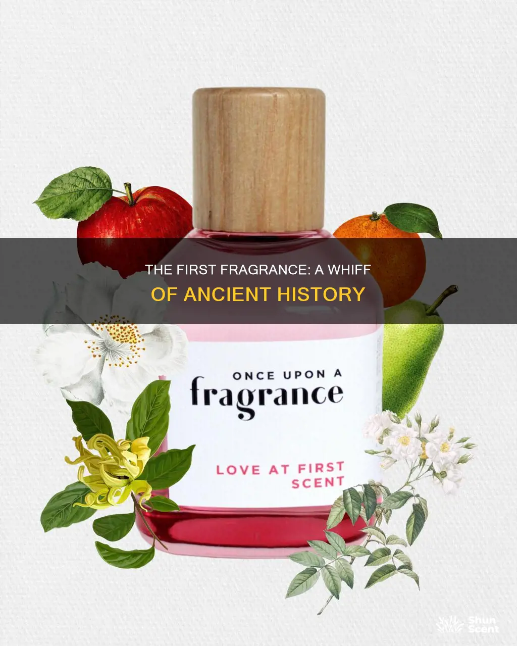 what was the first fragrance