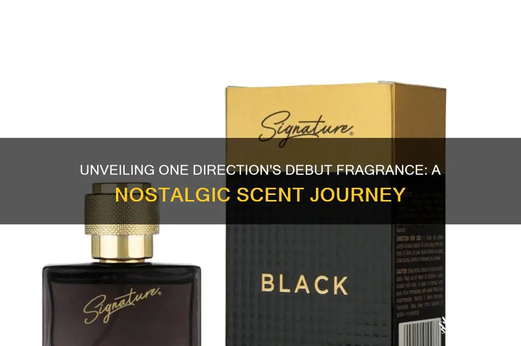 what was the first one direction perfume