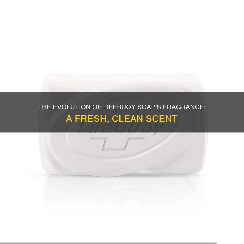what was the lifeboy soap fragrance