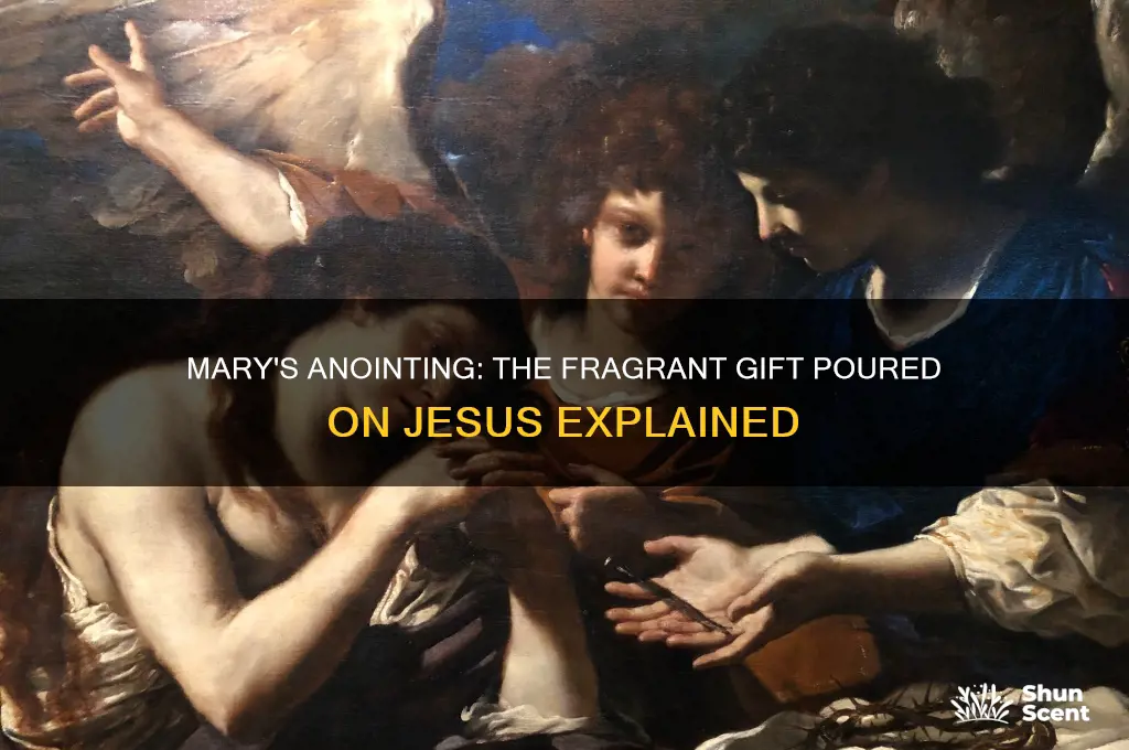 what was the perfume that mary poured on jesus
