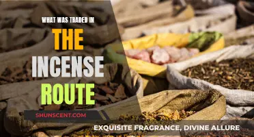 Incense Route: Aromatic Trade Secrets Unveiled