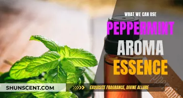 Peppermint Aroma Essence: Uses and Benefits for Your Health