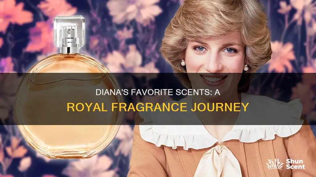 what were princess diana