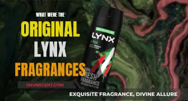 The Original Lynx Fragrances: A Nostalgic Scent Journey