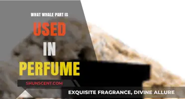 Whale Secrets: The Surprising Ingredient in Your Perfume