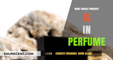 Whale Ambergris: The Surprising Marine Ingredient in Luxury Perfumes