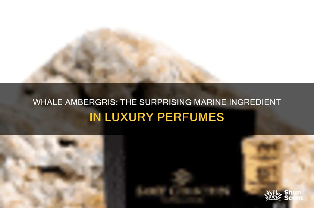 what whale product is in perfume