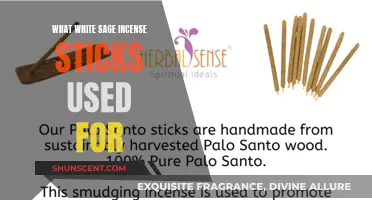 White Sage Incense Sticks: Purifying and Healing Properties