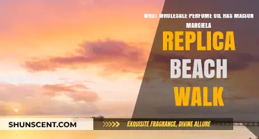 Maison Margiela Replica Beach Walk: Wholesale Perfume Oil Options