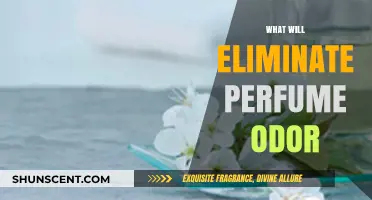 Effective Ways to Neutralize and Eliminate Lingering Perfume Odor