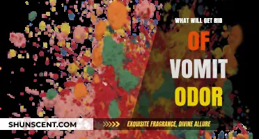 Effective Ways to Eliminate Persistent Vomit Odor