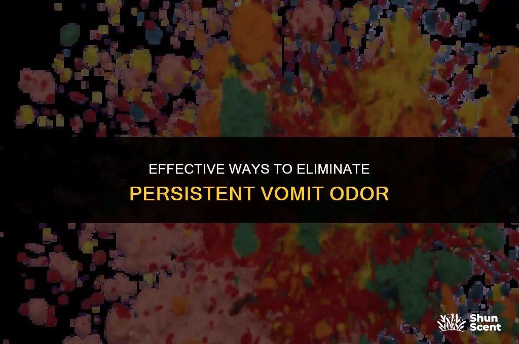 what will get rid of vomit odor