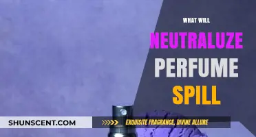 Quick Fixes to Neutralize Perfume Spills and Restore Freshness