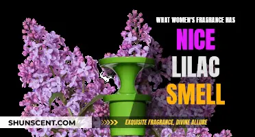 Lilac-Scented Dreams: Fragrances for Women that Captivate
