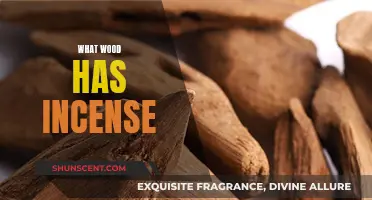 Incense-Rich Woods: Discover the Aromatic Secrets