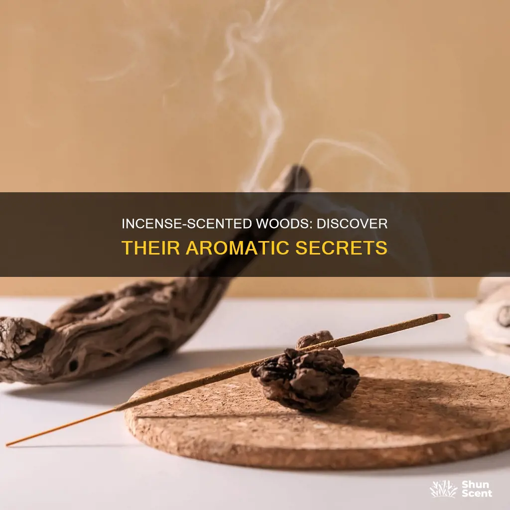 what wood smells like incense when burning